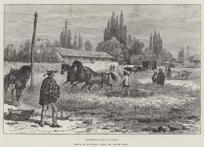 Threshing Corn in Chile by Melton Prior